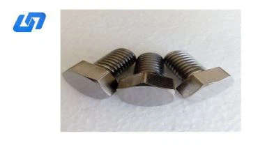 Șuruburi din titan cu cap hexagonal DIN933